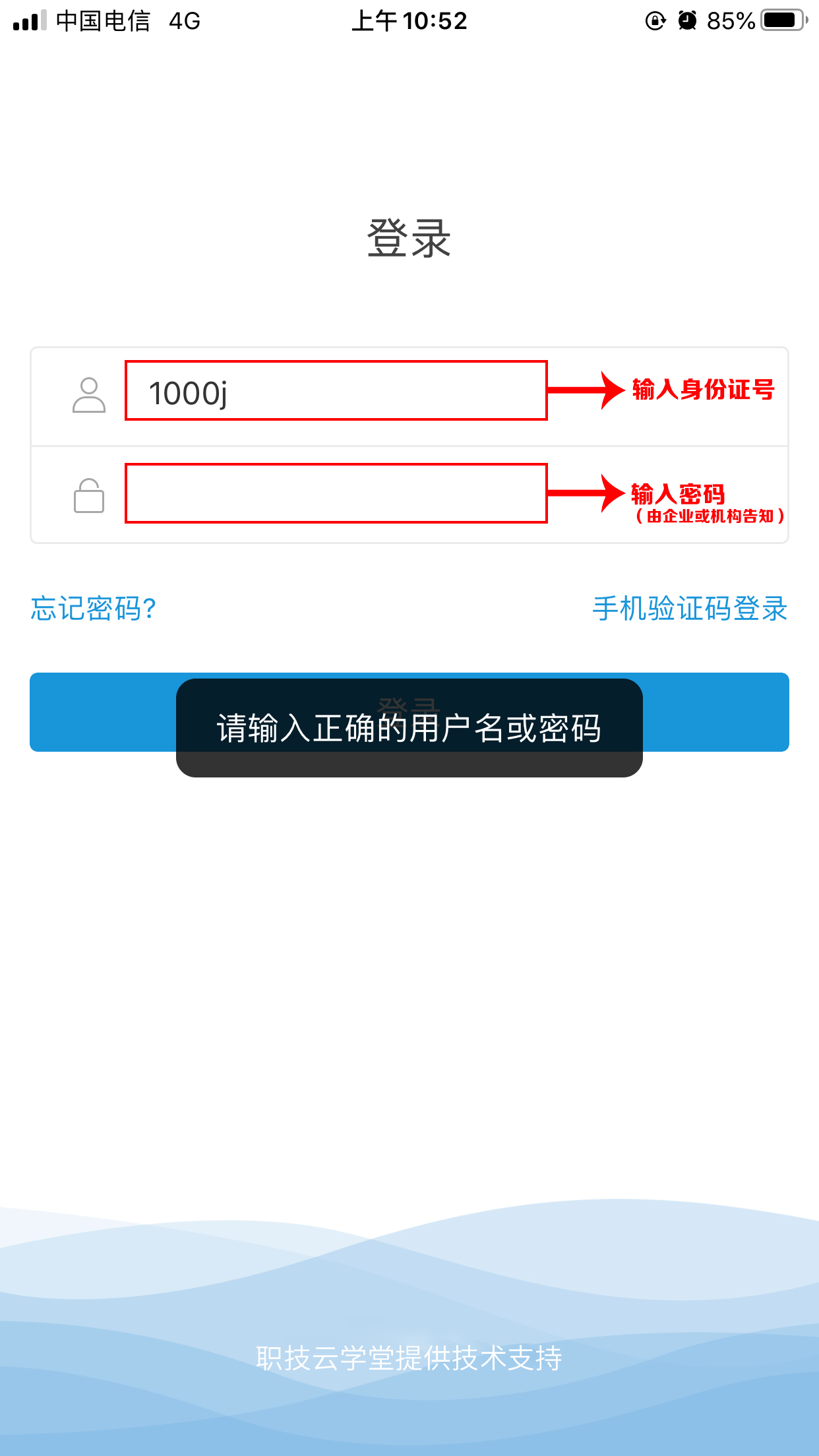 000000IMG_5176 000000IMG_5176